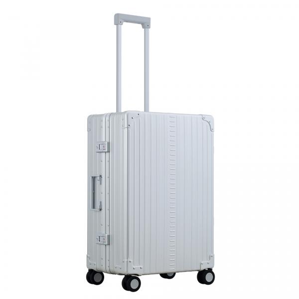 2655 Platin quer