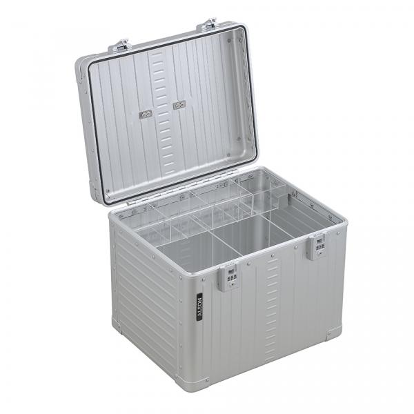 Preview: ALC_3920_PL insert