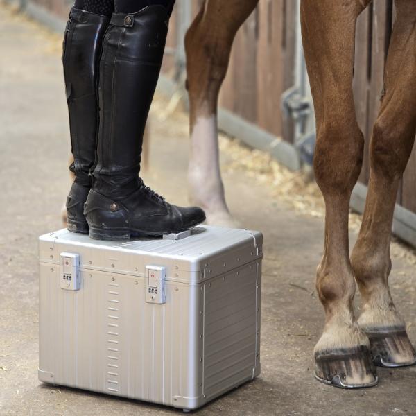 Preview: ALC_3920_PL barn