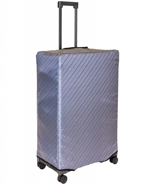 21" DOMESTIC CARRYON - PLATINUM - Suitcase for Discerning Jetsetters