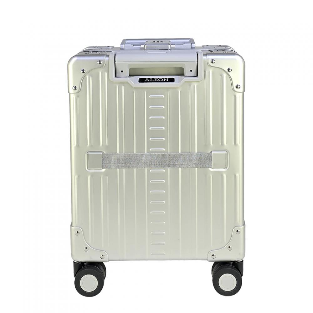 1755 Vertical Platin back