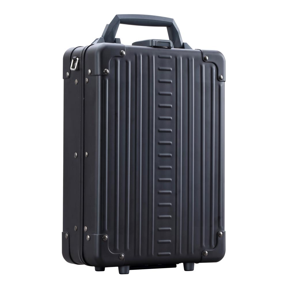 ALC-3310V-ON