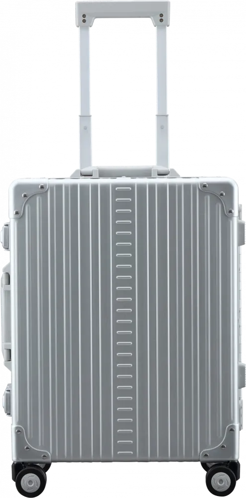21" DOMESTIC CARRYON WITHSUITER - Platinum - Travel with Style and Security in Premium Quality
