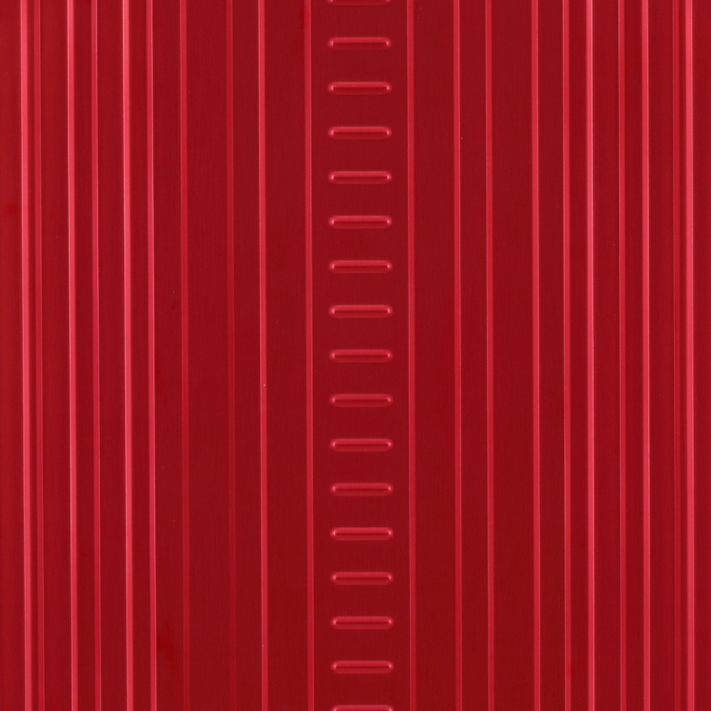21" DOMESTIC CARRYON - RUBY - Suitcase for Adventurous Souls