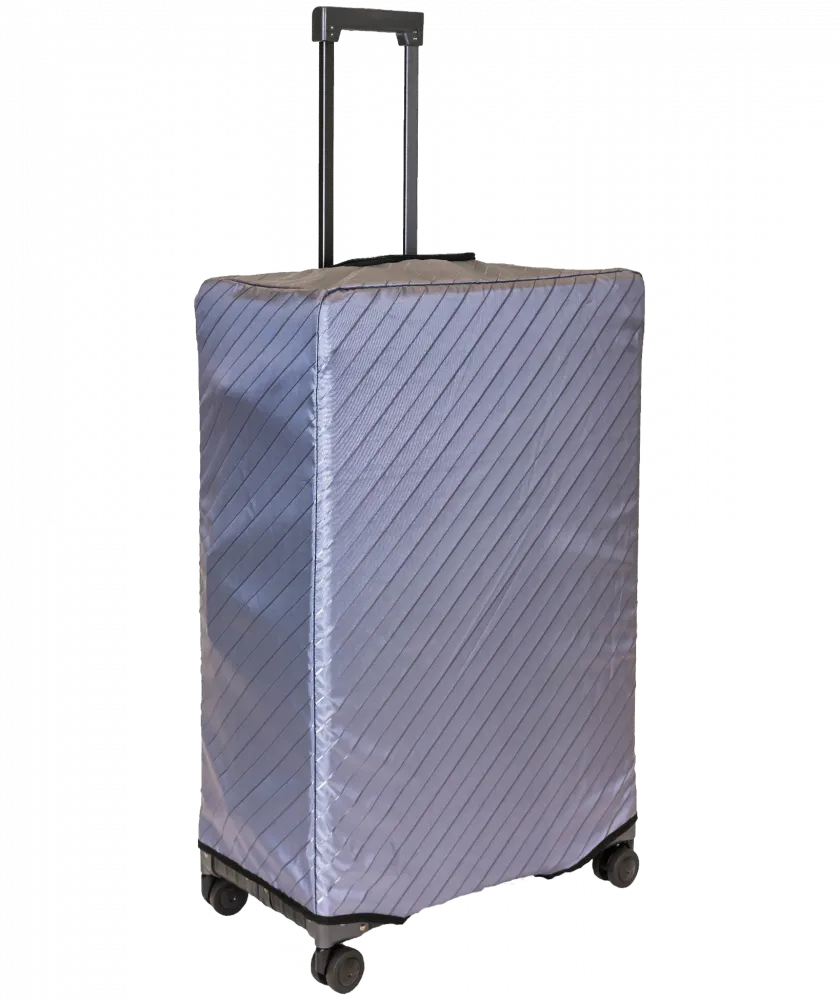 21" DOMESTIC CARRYON WITHSUITER - Platinum - Travel with Style and Security in Premium Quality